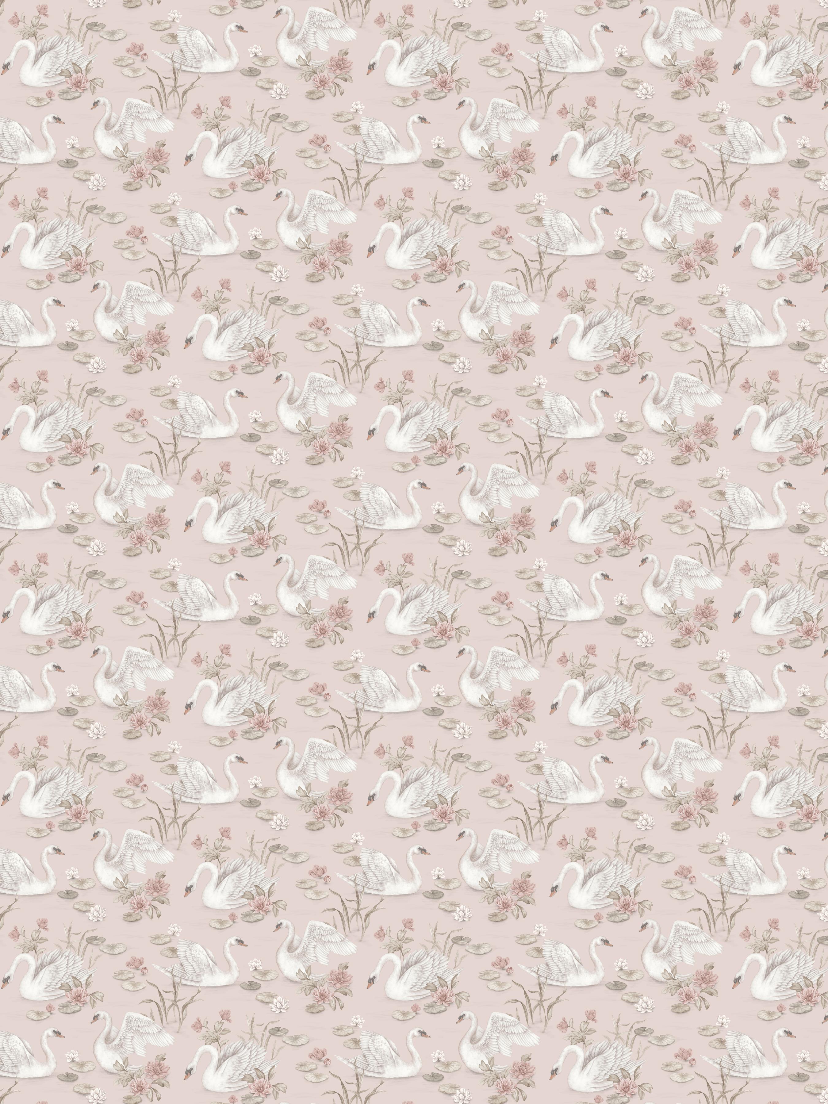 Lily Swan, Rosa