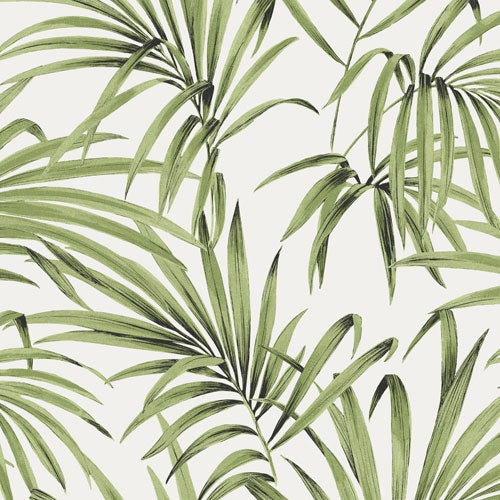 Palm cobalt LOT103