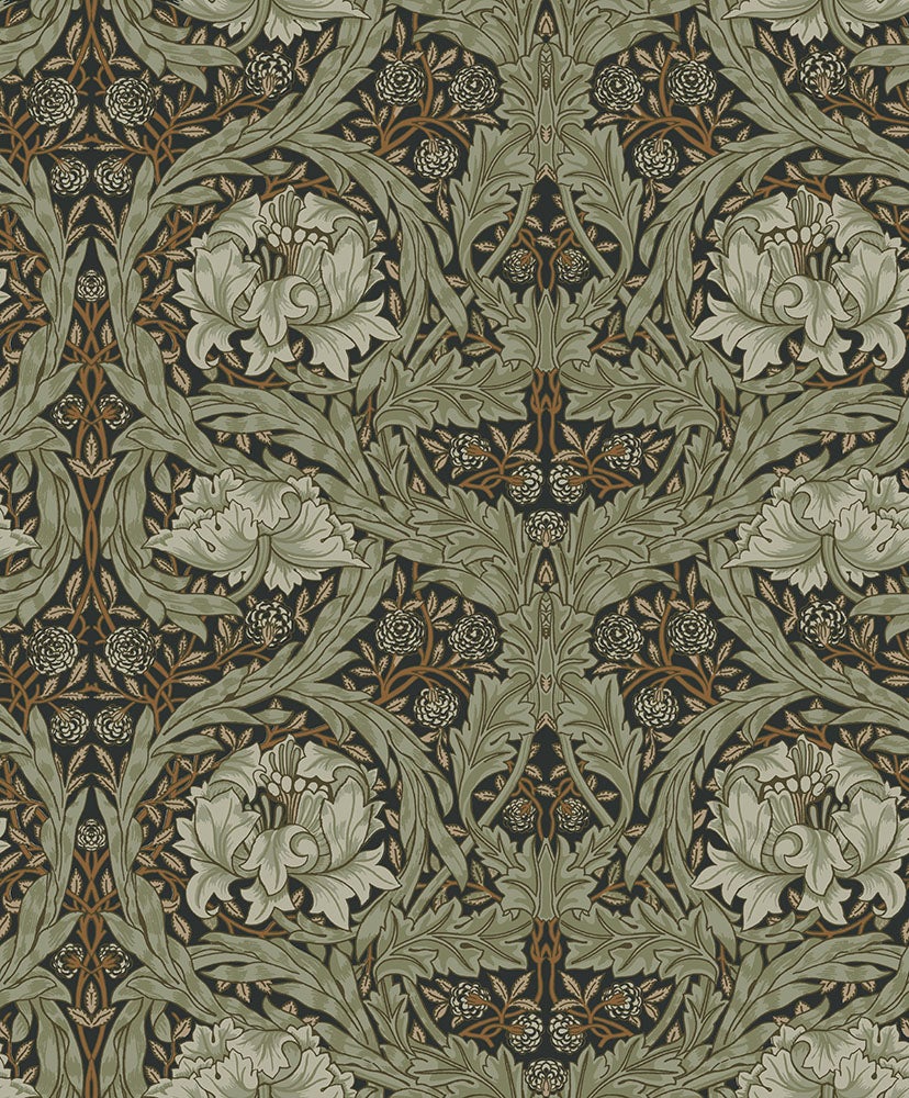 African Marigold 82073 tapet