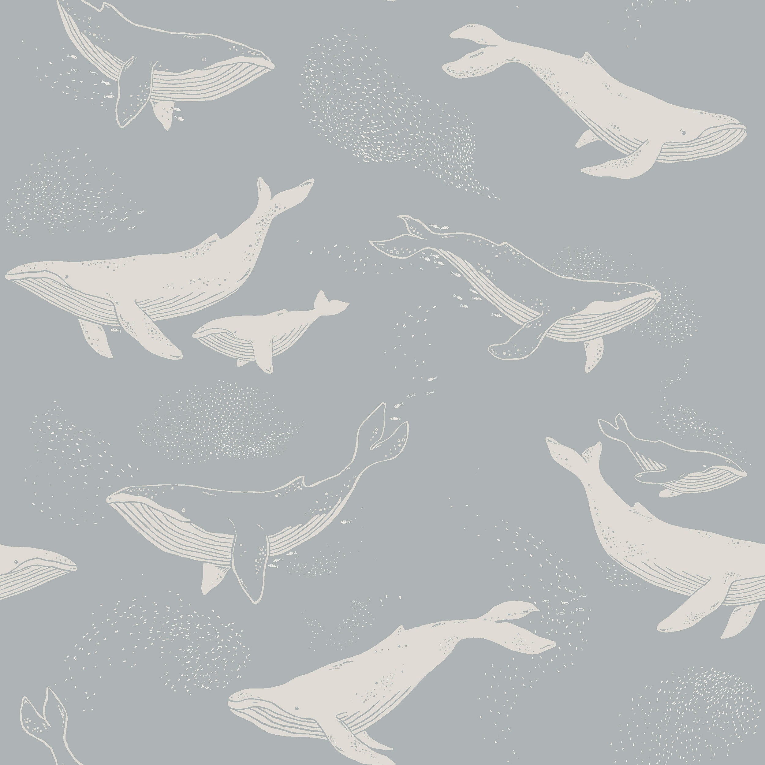 Whales, Gråblå