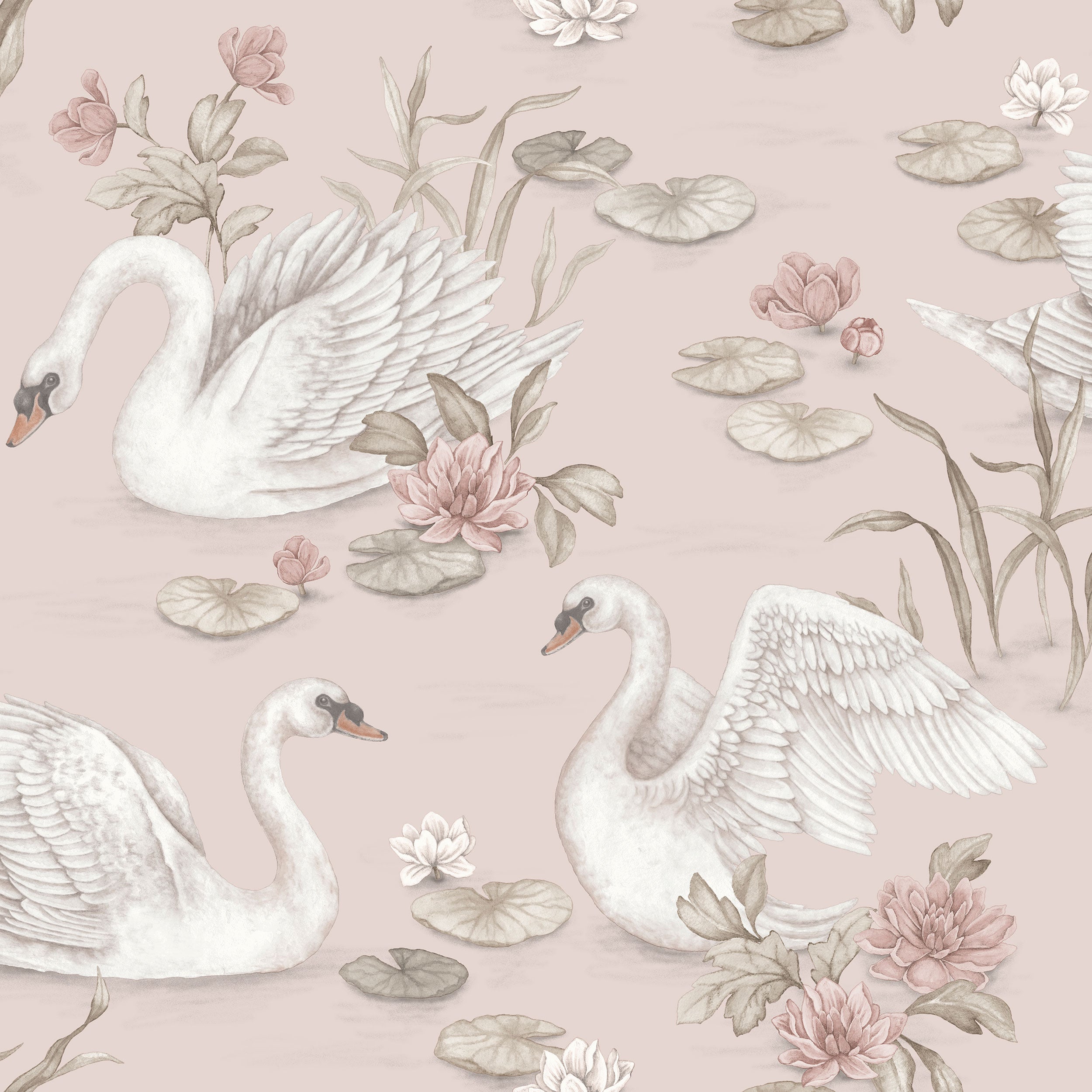 Lily Swan, Rosa