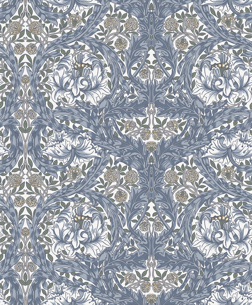 African Marigold, blå tapet